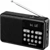 SANDBERG kõlar raadio FM+BT taaslaetav kaasaskantav Bluetooth-kõlar FM-raadio, AUX, USB, MicroSD, 6W, must