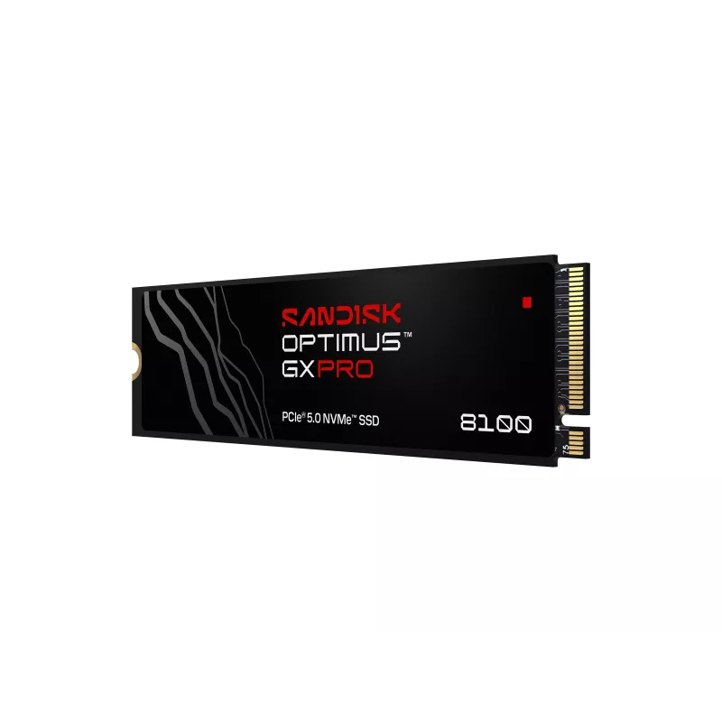 SanDisk Sisemine SSD Optimus GX PRO 8100, 4TB (00233410)