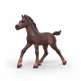 Schleich Horse Club Collectible Foal Ravi
