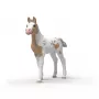 Schleich Horse Club Collectible Foal Rusty