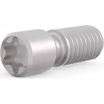 SCHROFF Seadekruvi M2.5 x 9 mm Torx T8, teras, 100 tk (21102980)