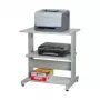 SECOMP Roline printerialus ratastel, hall/valge/helehall, 2 riiulit, 500x400x600 mm 17.01.1089