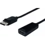 SECOMP STANDARD DisplayPort - HDMI adapter, v1.2, DP isane - HDMI emane (S3204)