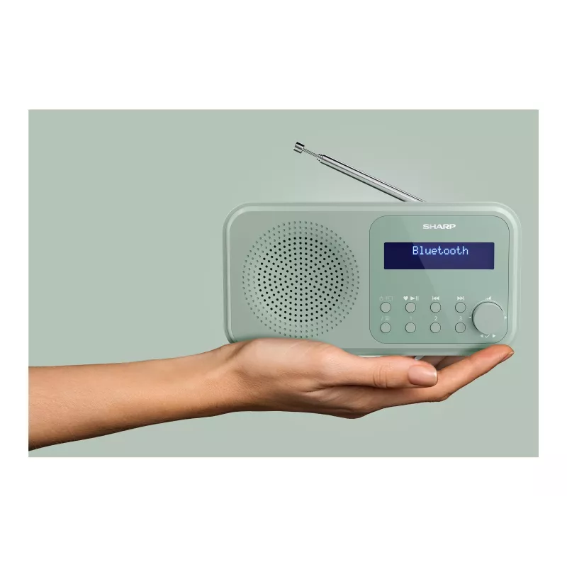 Sharp Tokyo DR-P420(GN) kaasaskantav DAB+/FM-raadio, Bluetooth 5.3, akvamariinroheline