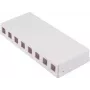 SHIVERPEAKS 8-porti Keystone pealepandav seinakarp, valge BS08-10119