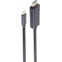SHIVERPEAKS BASIC-S USB-C - DisplayPort kaabel 1m 8K60Hz must (BS10-61045)
