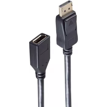 SHIVERPEAKS BS10-48025 DisplayPort kaabel 1m must