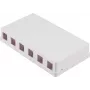 SHIVERPEAKS Keystone pealepandav seinakarp, 6-porti, valge (BS08-10118)