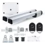 Somfy Ixengo L 3S+ IO Standard Pack kahepoolsetele tiibväravatele kuni 8 m