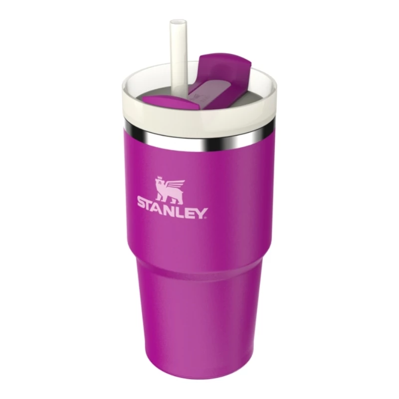 STANLEY The Quencher H2.O FlowState joogitops kõrrega 0,59 l lilla