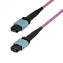 StarTech.com 10m MTP/MPO-12 ühemoodiline OS2 fiiber-patch-kaabel - push/pull sakk