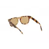 Päikeseprillid WEB EYEWEAR Man WE0315-0041F (Lens/Bridge/Temple) 00/0/145 mm