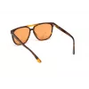 Päikeseprillid WEB EYEWEAR Unisex WE0263-5956J Square Havana Acetaatraam Roheline Polükarbonaat Lääts 59/13/145 mm UV400