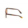 Päikeseprillid WEB EYEWEAR Unisex WE0263-5956J Square Havana Acetaatraam Roheline Polükarbonaat Lääts 59/13/145 mm UV400