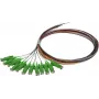 SYNERGY21 S215560 Kiudoptiline ühenduskaablite komplekt 2 m OS2 E-2000 (LSH) mitmevärviline 12-pakk