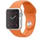 Taktikaline Apple silikoonrihm Apple Watch 44mm / 42mm jaoks, oranž