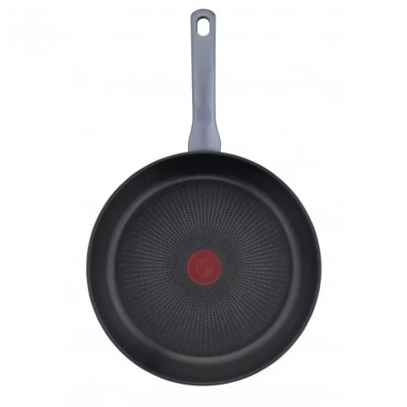 Tefal Daily Cook G7300455 24 cm praepann, roostevaba teras, Titanium 2X mittenakkuva, termo-signaal, kõikidele pliitidele