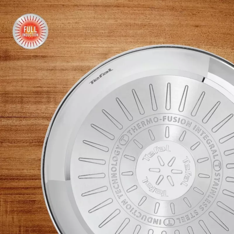 Tefal Duetto On 20 cm roostevabast terasest praepann titaanist mittekleepuva katte ja Thermo-Signal indikaatoriga