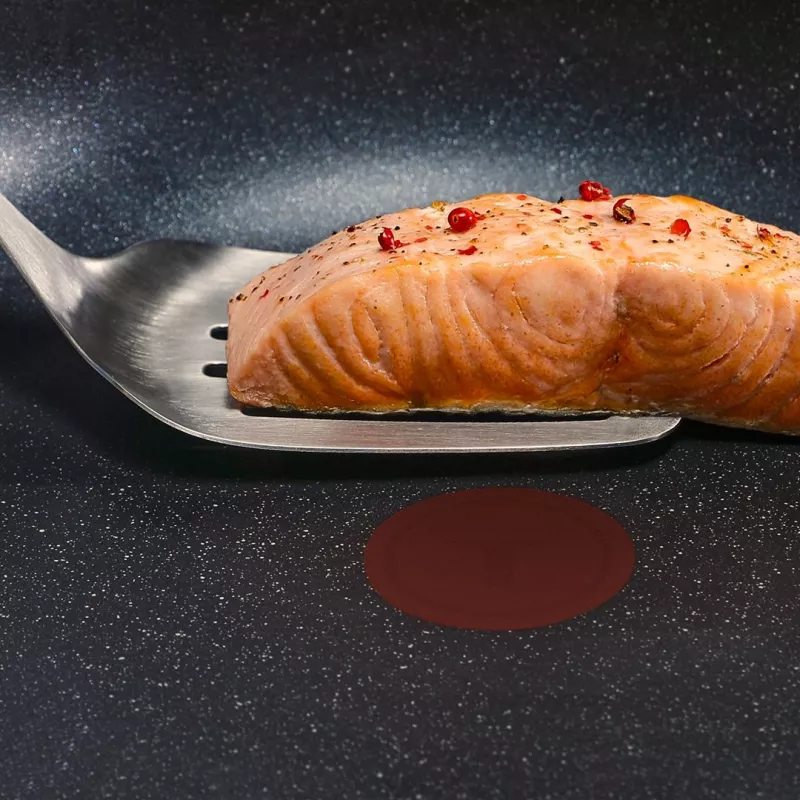 Tefal Expertise Plus 24 cm mittenakkuv praepann termotäpiga