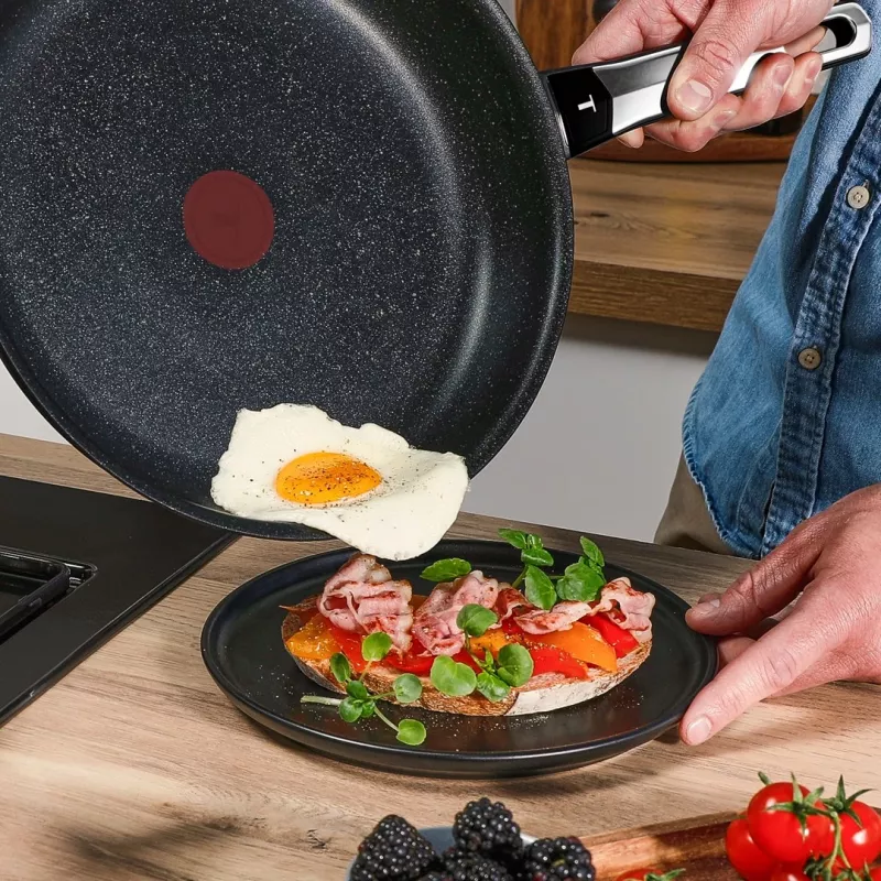 Tefal Expertise Plus 24 cm mittenakkuv praepann termotäpiga