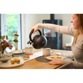 Tefal N4180410 Express Control roostevabast terasest veekeetja 2,5 L induktsiooniga hõbe/must
