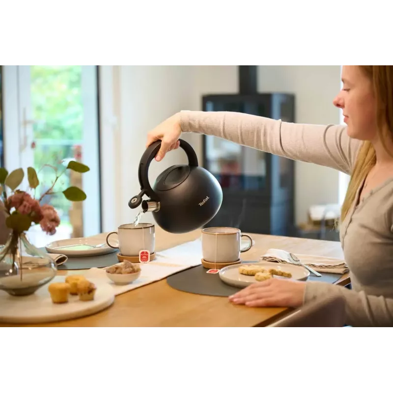 Tefal N4180410 Express Control roostevabast terasest veekeetja 2,5 L induktsiooniga hõbe/must