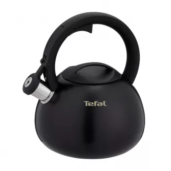 Tefal N4180410 Express Control roostevabast terasest veekeetja 2,5 L induktsiooniga hõbe/must