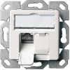 Telegärtner AMJ45 8/8 K Up/50 Cat.6A süvispaigaldusega andmeväljund, 2x RJ45, varjestatud, pärlvalge RAL 1013 J00020A0501