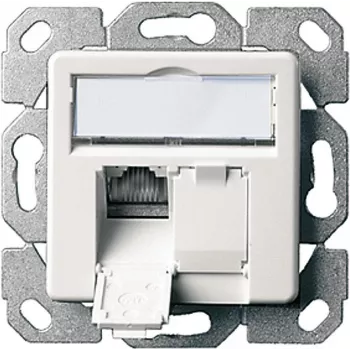 Telegärtner AMJ45 8/8 K Up/50 Cat.6A süvispaigaldusega andmeväljund, 2x RJ45, varjestatud, pärlvalge RAL 1013 J00020A0501