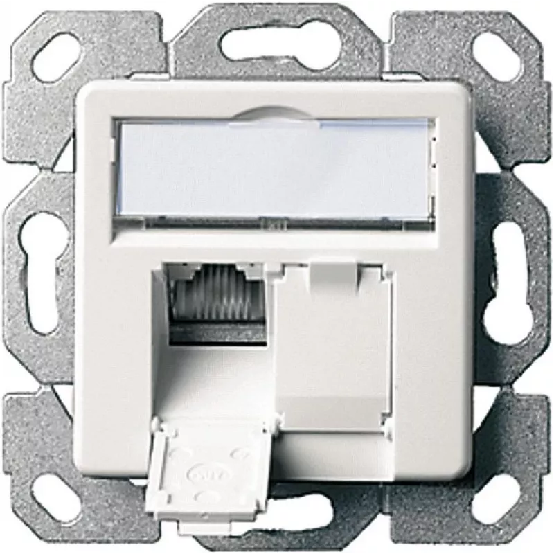 Telegärtner AMJ45 8/8 K Up/50 Cat.6A süvispaigaldusega andmeväljund, 2x RJ45, varjestatud, pärlvalge RAL 1013 J00020A0501