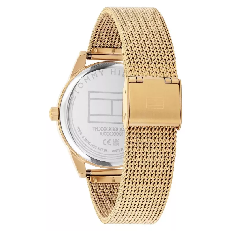 Tommy Hilfiger naiste kell 1782769 38mm roostevaba teras hõbedane