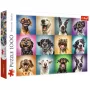 TREFL Puzzle – 1000 – Funny Dog Portraits – Trefl 10462