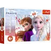 TREFL PUZZLE Puzzle 60 The Magic World of Anna and Elsa