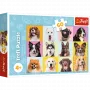 TREFL PUZZLE Pusled - 60 - Armsad kutsikad