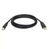 Tripp Eaton Tripp Lite Series USB 2.0 A to B kaabel (M/M)