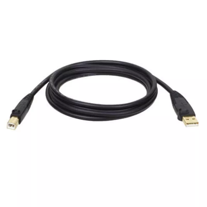 Tripp Eaton Tripp Lite Series USB 2.0 A to B kaabel (M/M)