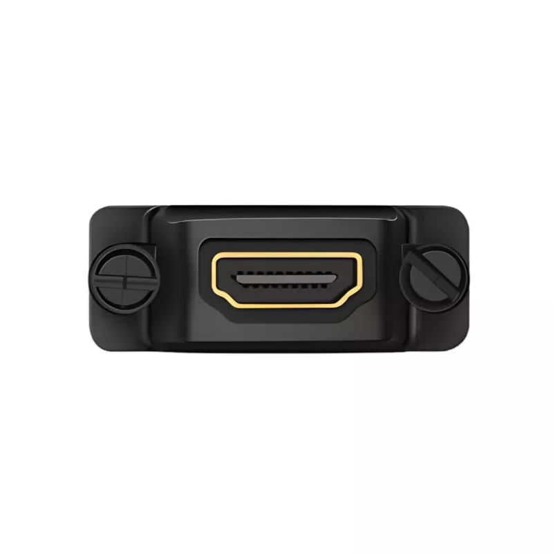 UGREEN 20124-20124 DVI (24+1) isane HDMI emane adapter - must