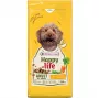 VERSELE-LAGA HappyLife Kuiv koeratoit kanaga täiskasvanud koertele 12.5kg