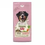 VERSELE-LAGA HappyLife Kuiv koeratoit lambalihaga täiskasvanud koertele 12,5 kg