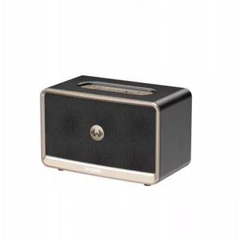 W-King H330 Kaasaskantav Juhtmevaba Bluetooth Kõlar 30W IPX6 Must