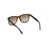 WEB EYEWEAR MAN WE0279-5652G Päikeseprillid Havana Roheline 56/19/145 mm