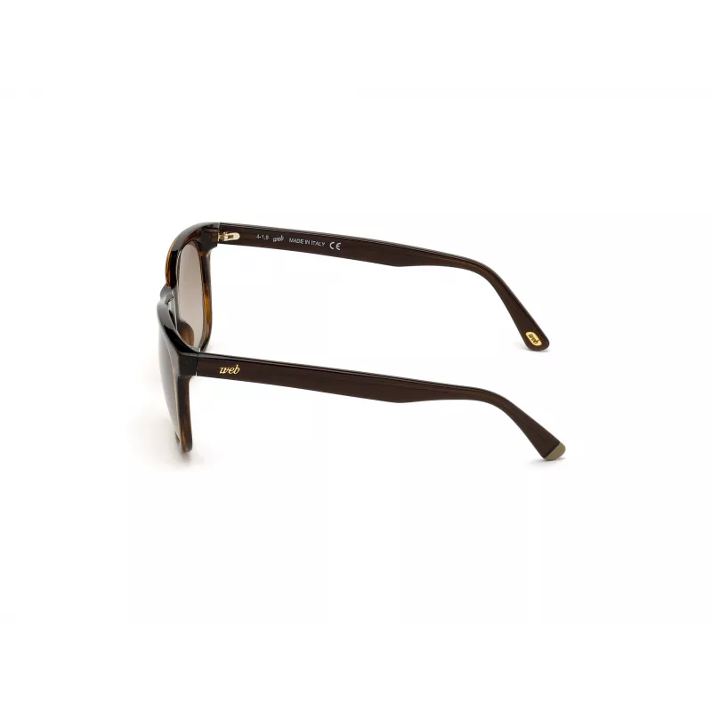 WEB EYEWEAR MAN WE0279-5652G Päikeseprillid Havana Roheline 56/19/145 mm