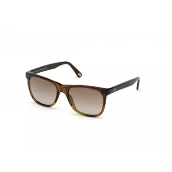 WEB EYEWEAR MAN WE0279-5652G Päikeseprillid Havana Roheline 56/19/145 mm