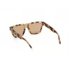 WEB EYEWEAR MAN WE0314-0041F Päikeseprillid Havana atsetaatraamiga pruuni gradiendi läätsedega 54-19-145