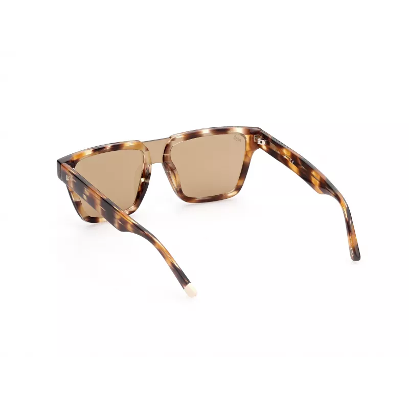 WEB EYEWEAR MAN WE0314-0041F Päikeseprillid Havana atsetaatraamiga pruuni gradiendi läätsedega 54-19-145