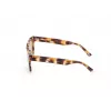 WEB EYEWEAR MAN WE0314-0041F Päikeseprillid Havana atsetaatraamiga pruuni gradiendi läätsedega 54-19-145