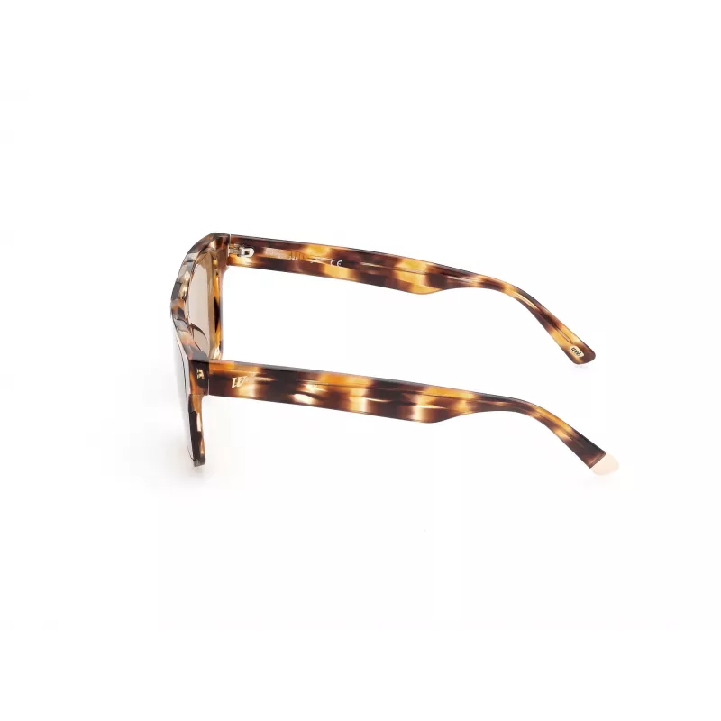 WEB EYEWEAR MAN WE0314-0041F Päikeseprillid Havana atsetaatraamiga pruuni gradiendi läätsedega 54-19-145