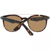WEB EYEWEAR WE0146-5252G Unisex Päikeseprillid Havana Raamiga Hall Gradient Läätsed 52mm