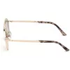 Web Eyewear WE0243-32G Unisex Pilot Päikeseprillid Kuldne Raam Pruun Gradientlääts UV400 58mm
