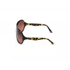 WEB EYEWEAR Woman WE0290-6552F Havana Brown Rectangular Cat Eye Sunglasses 65/12/115 mm